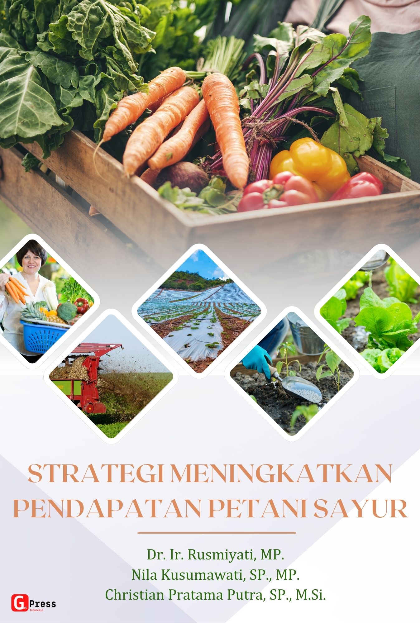 Strategi Meningkatkan Pendapatan Petani Sayur